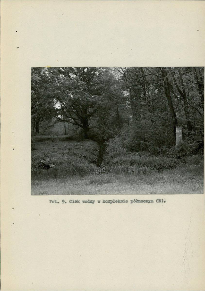 Ewidencja parkowa, skan nr 39