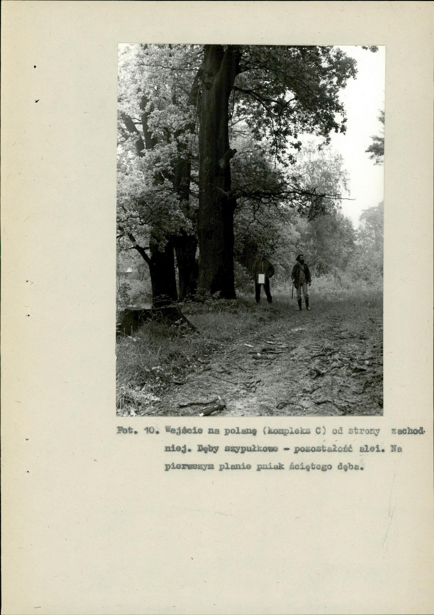 Ewidencja parkowa, skan nr 40