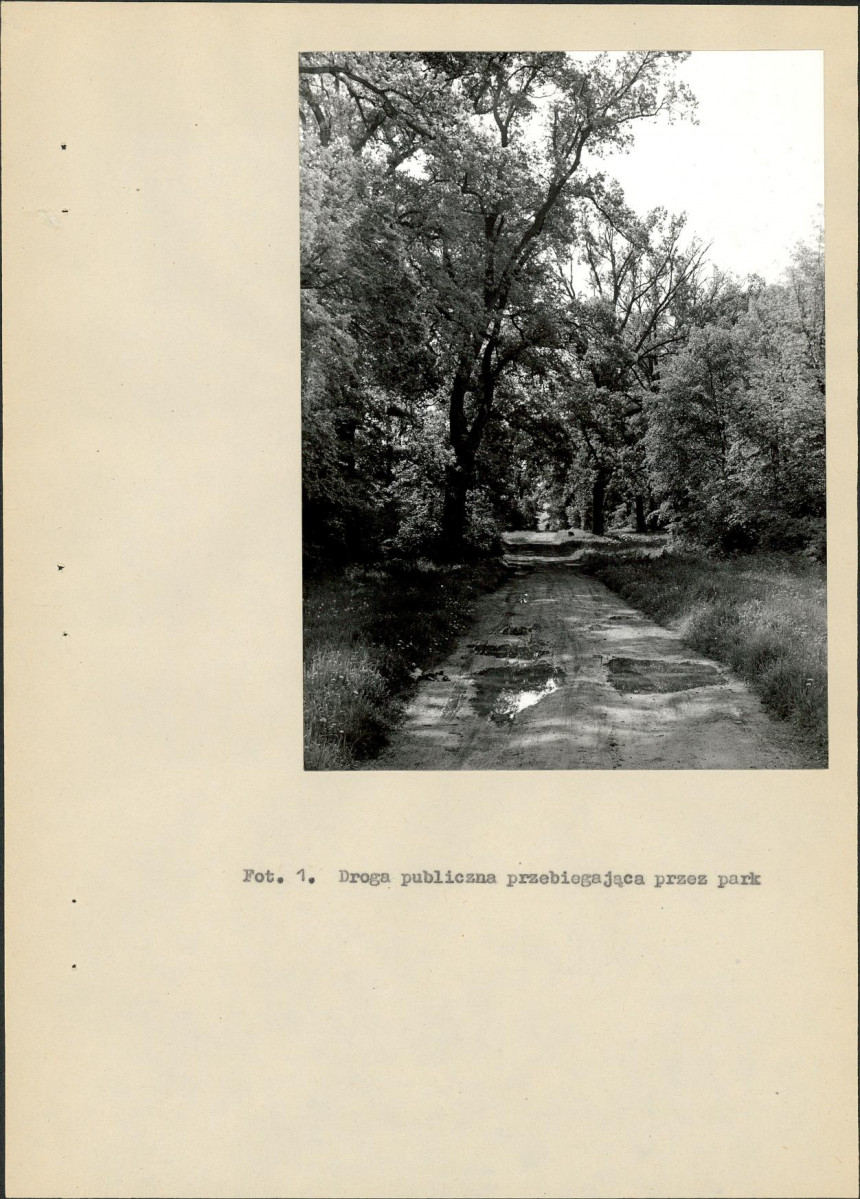 Ewidencja parkowa, skan nr 30