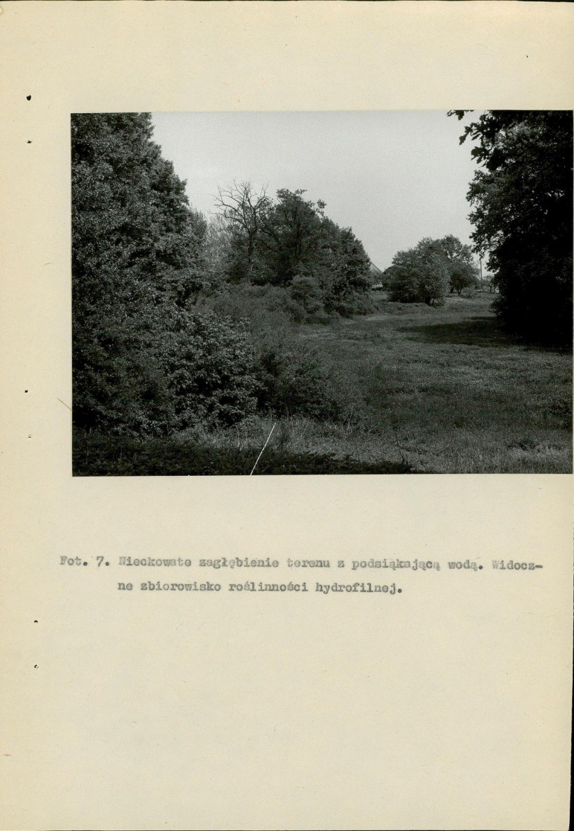 Ewidencja parkowa, skan nr 36