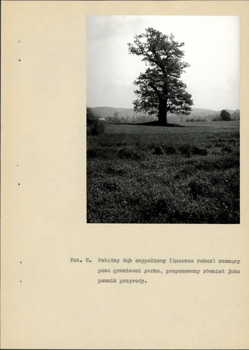 Ewidencja parkowa, skan nr 37