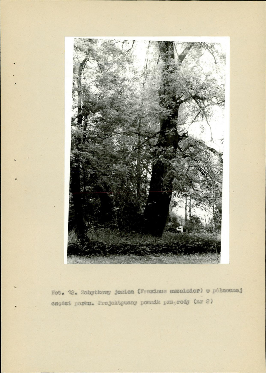 Ewidencja parkowa, skan nr 54