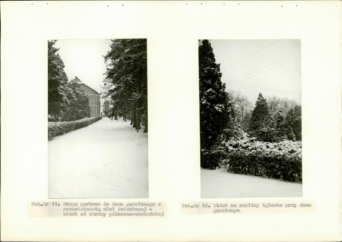 Ewidencja parkowa, skan nr 29