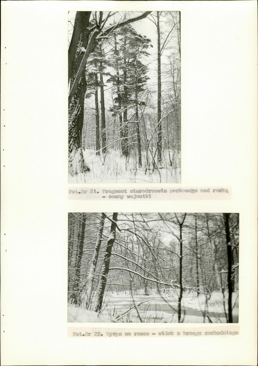 Ewidencja parkowa, skan nr 34