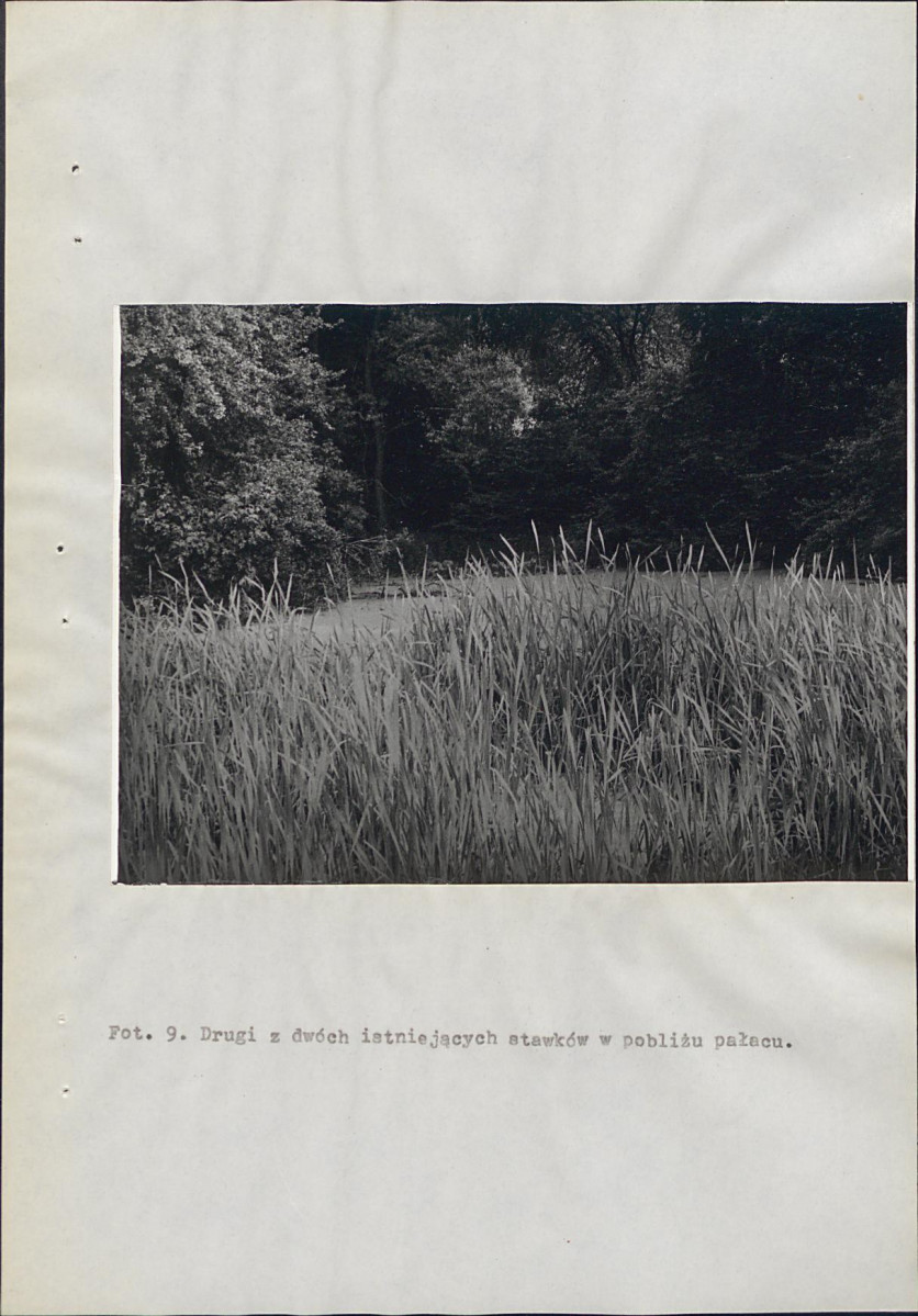 EP - Ewidencja parkowa, skan nr 42