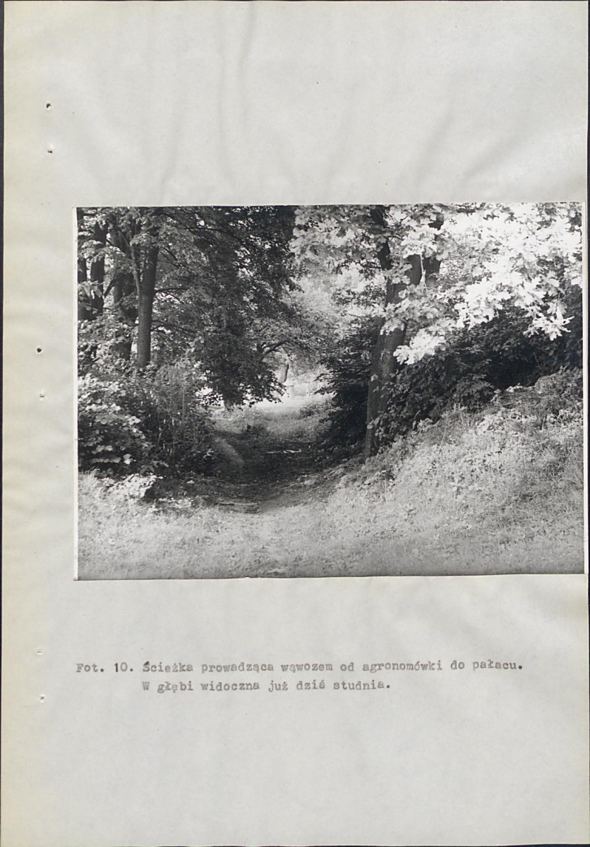 EP - Ewidencja parkowa, skan nr 43