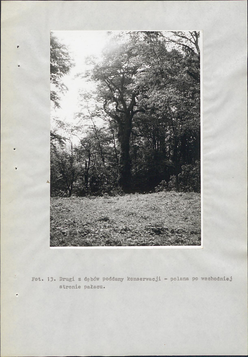 EP - Ewidencja parkowa, skan nr 46