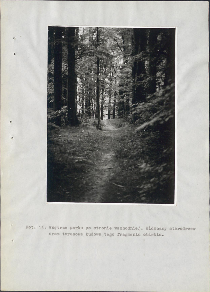 EP - Ewidencja parkowa, skan nr 47