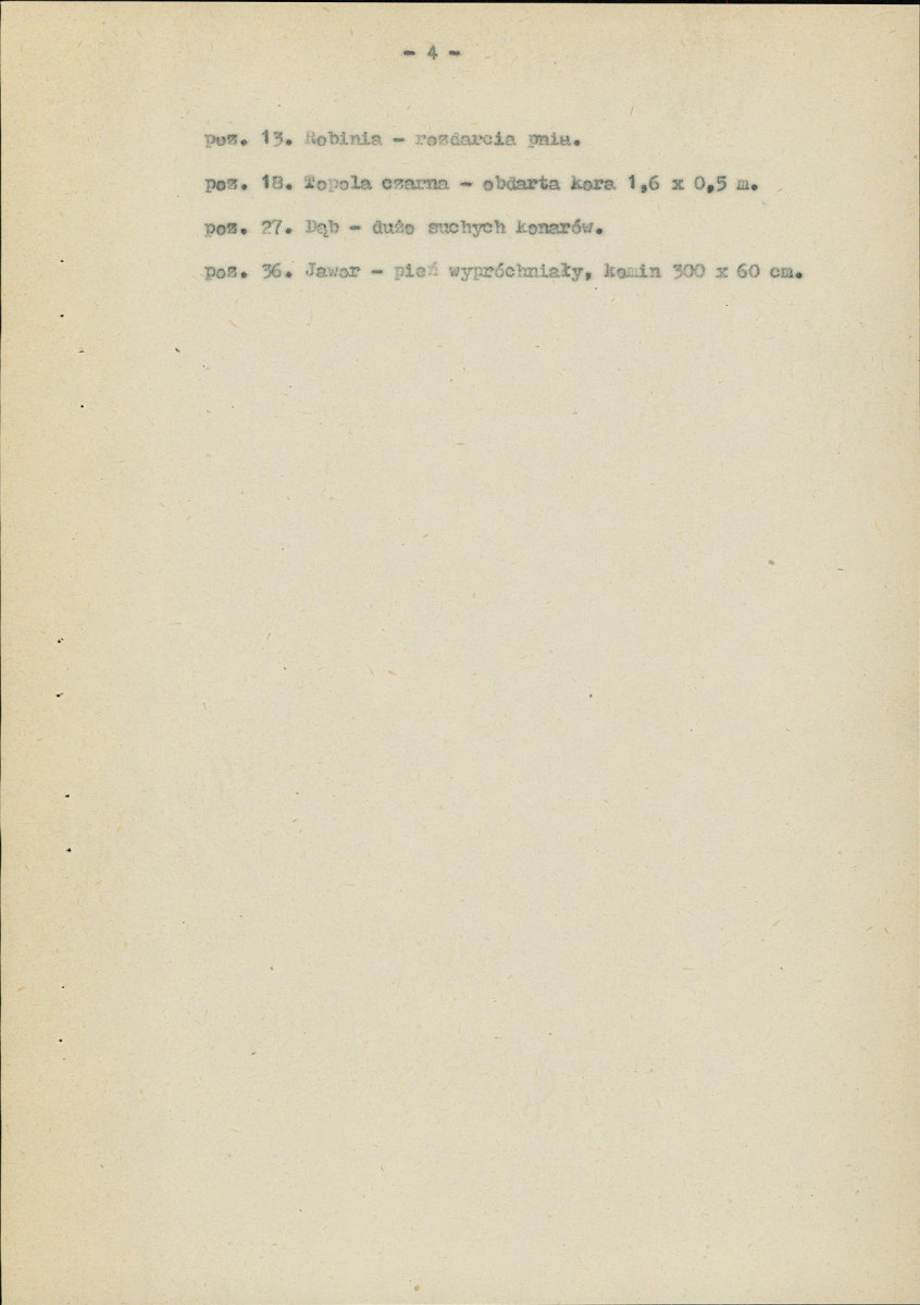 Ewidencja parkowa, skan nr 12