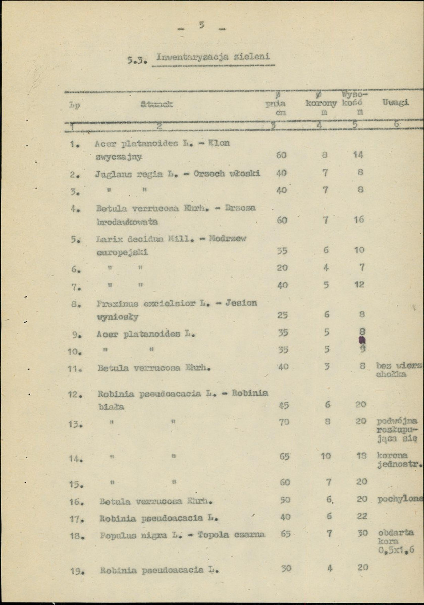 Ewidencja parkowa, skan nr 13