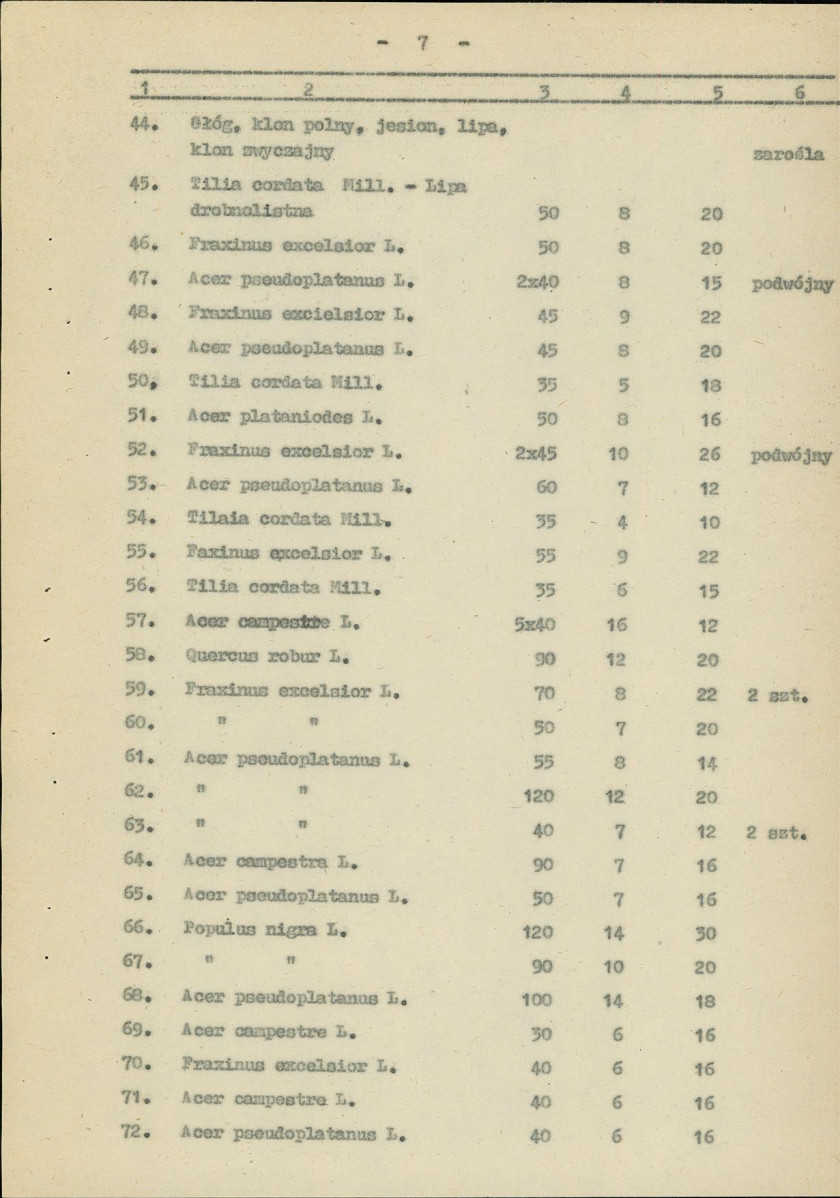 Ewidencja parkowa, skan nr 15