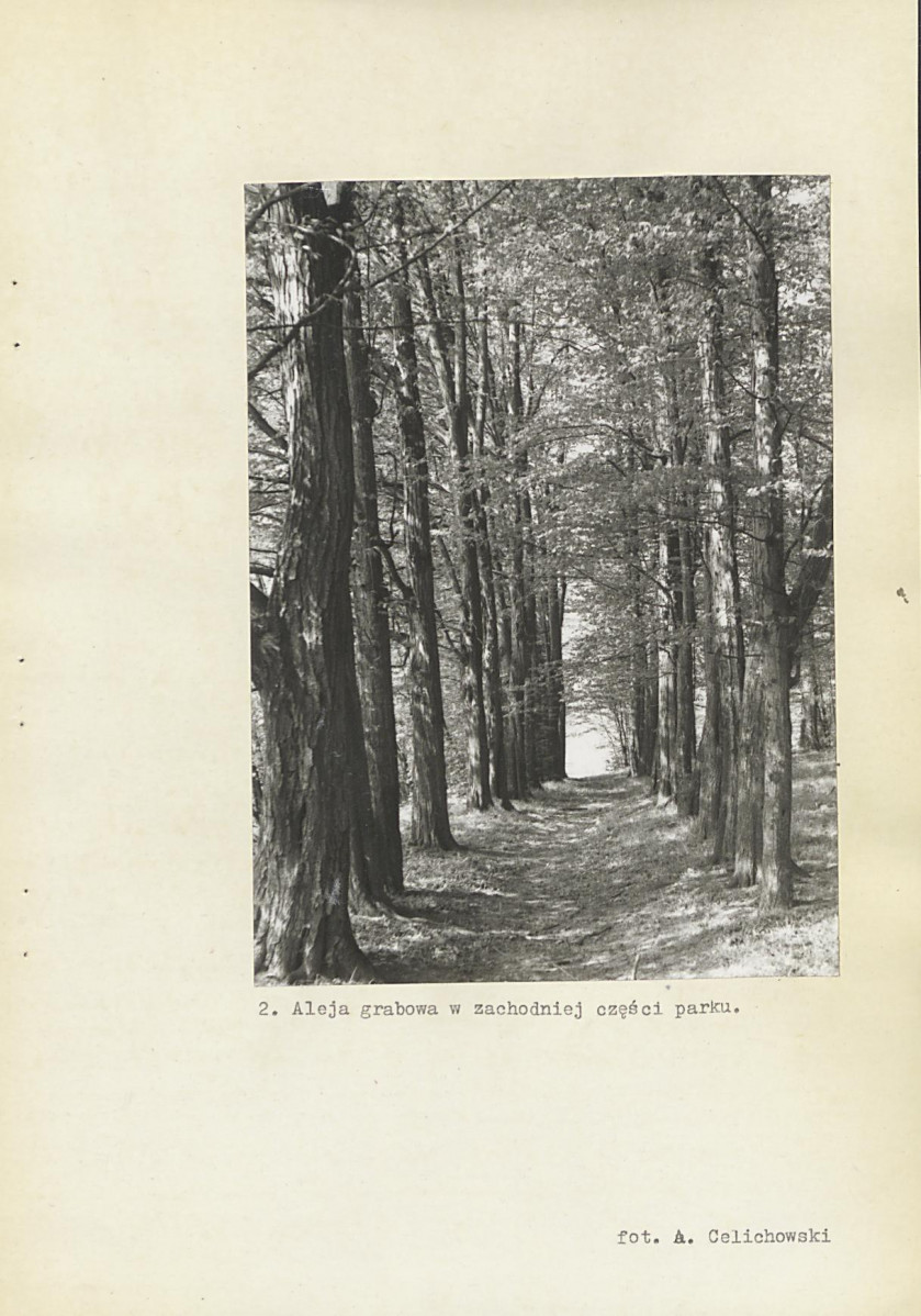 Ewidencja parkowa, skan nr 28