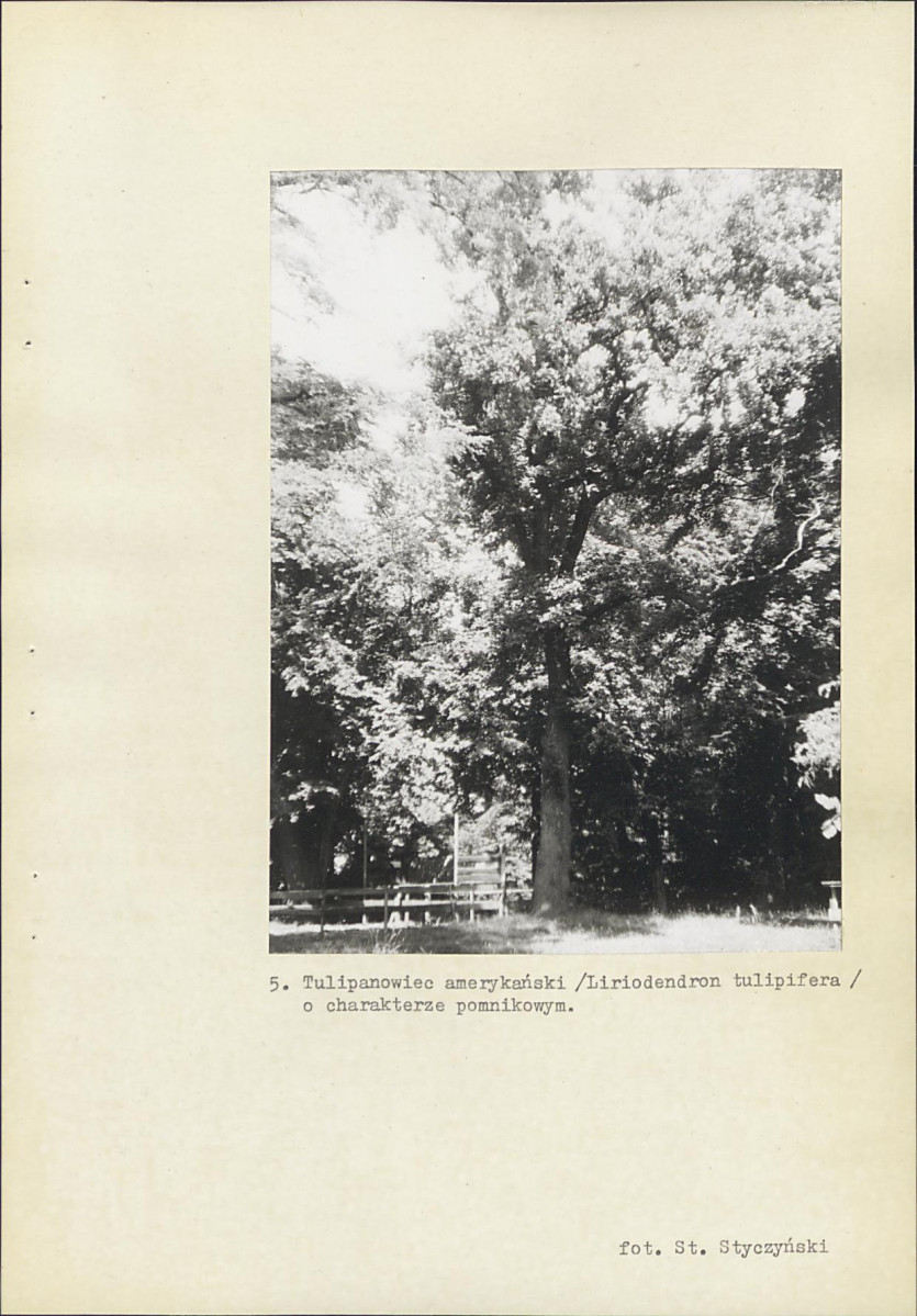 Ewidencja parkowa, skan nr 31