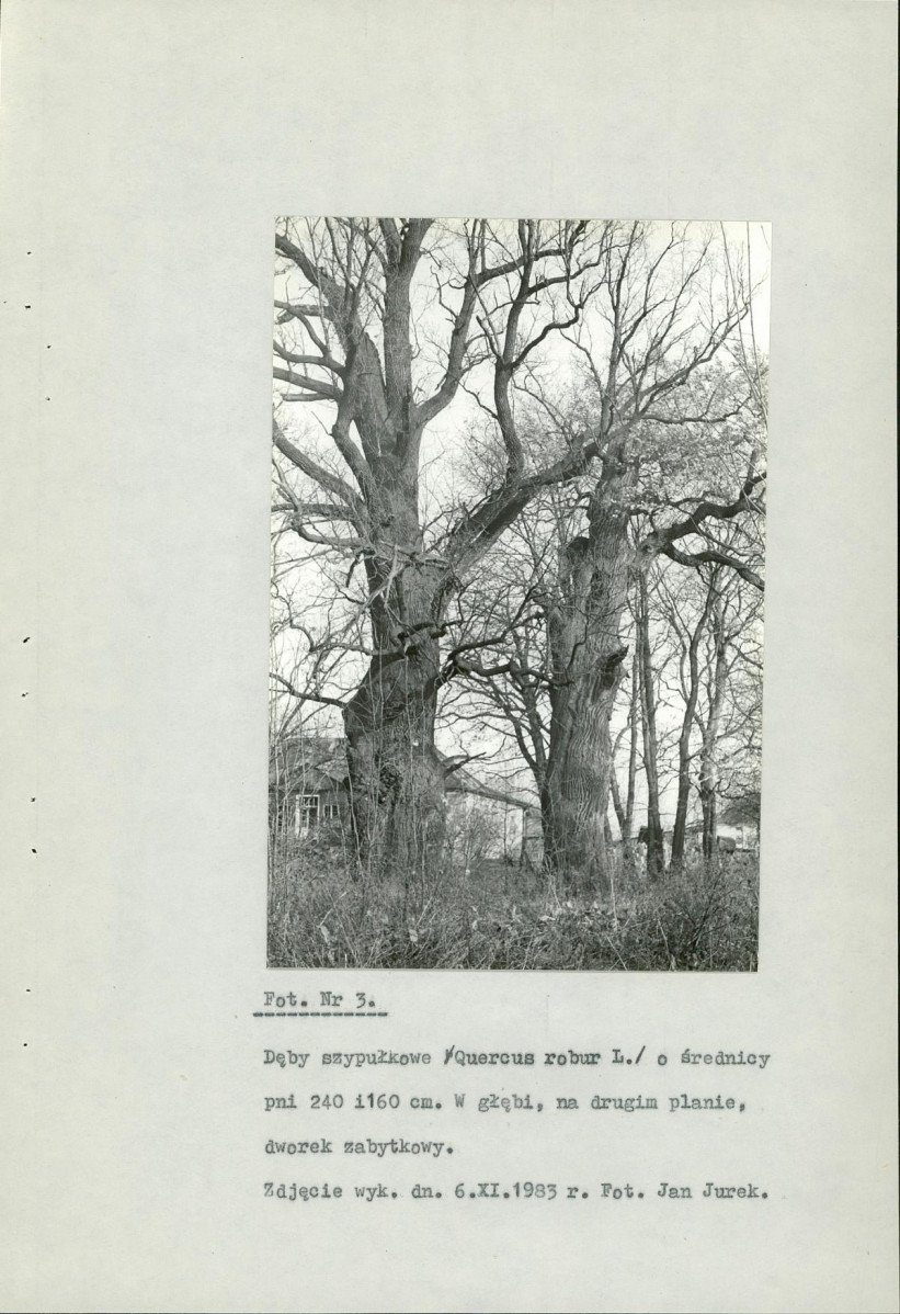 Ewidencja parkowa, skan nr 23