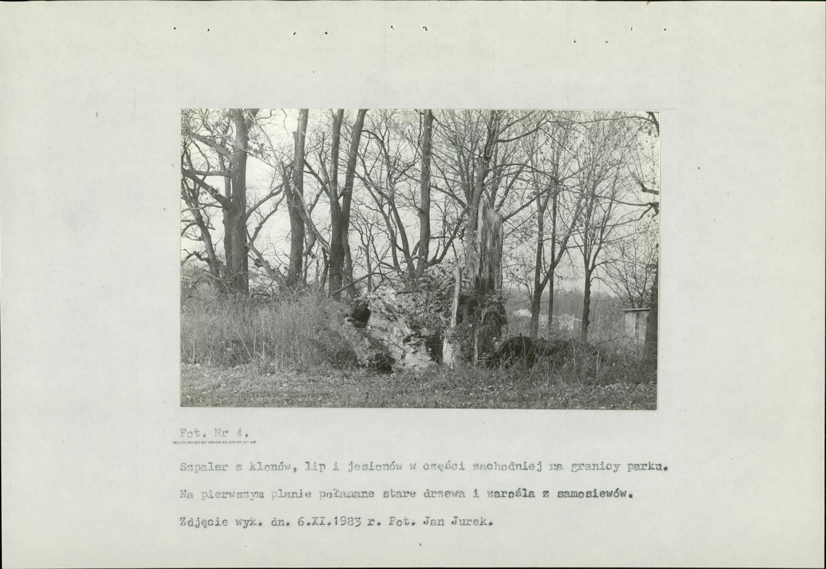 Ewidencja parkowa, skan nr 24