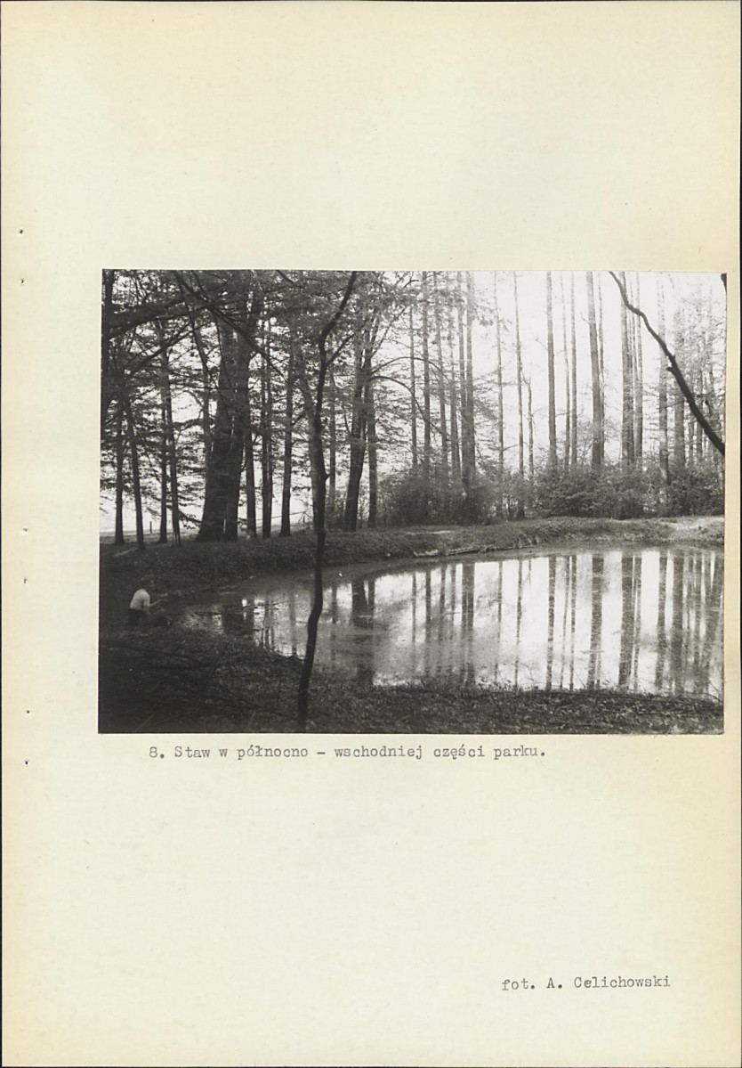 Ewidencja parkowa, skan nr 34
