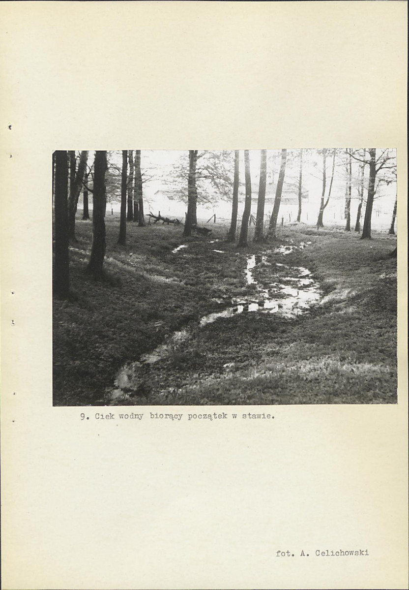 Ewidencja parkowa, skan nr 35