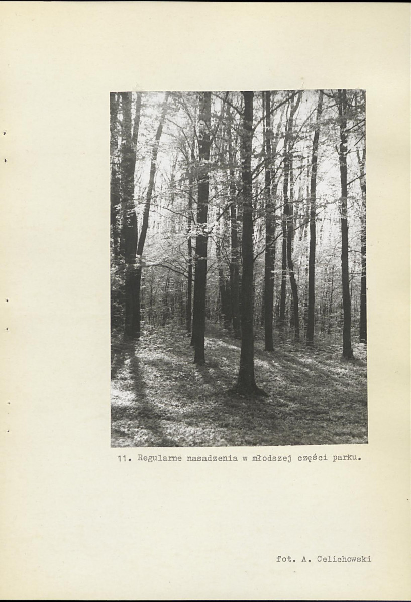 Ewidencja parkowa, skan nr 37