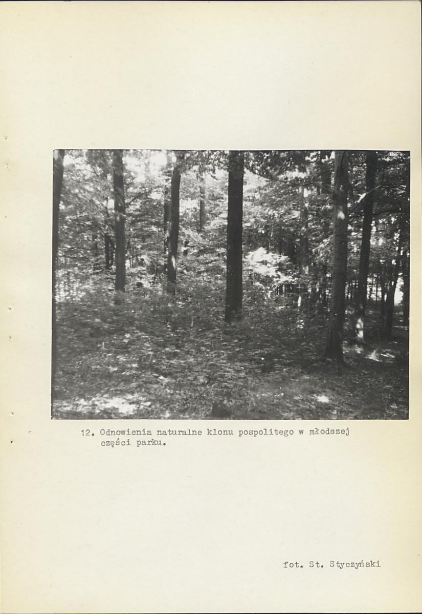 Ewidencja parkowa, skan nr 38