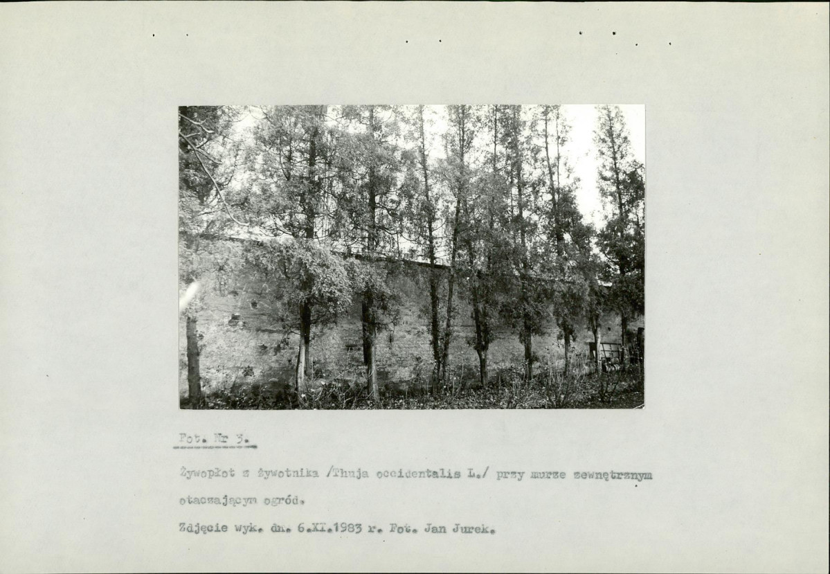 Ewidencja parkowa, skan nr 19