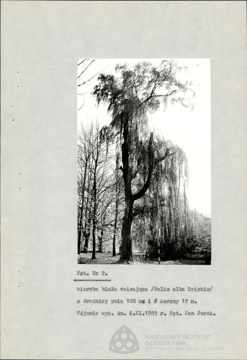 EP - Ewidencja parkowa, skan nr 27