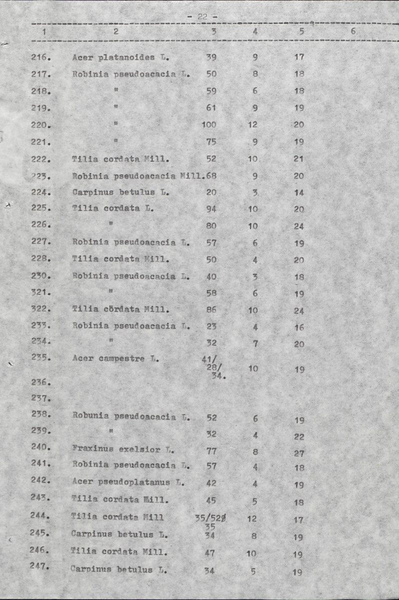 Ewidencja parkowa, skan nr 28