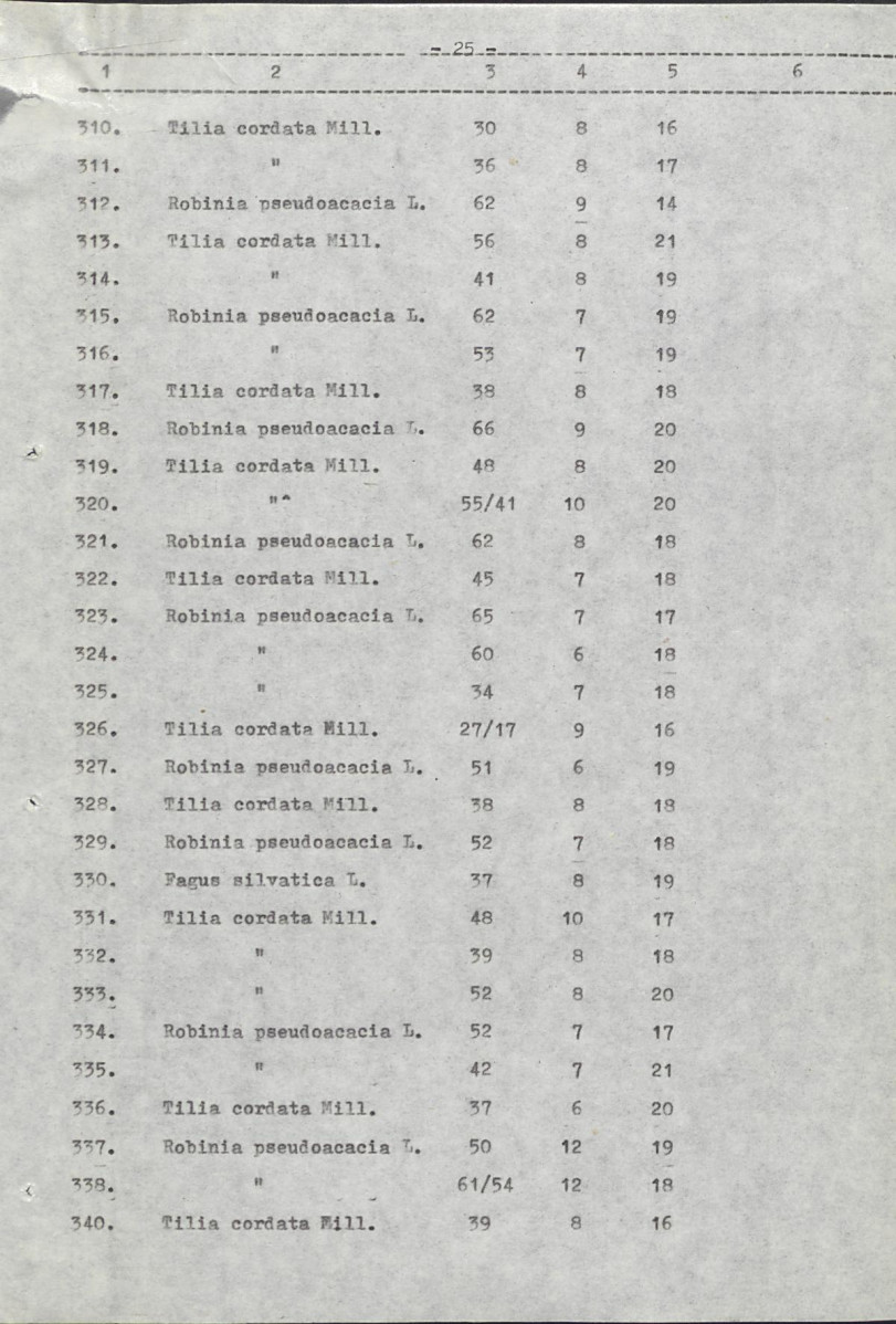 Ewidencja parkowa, skan nr 31