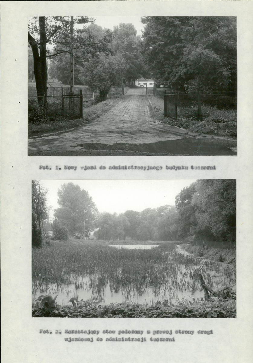 Ewidencja parkowa, skan nr 37