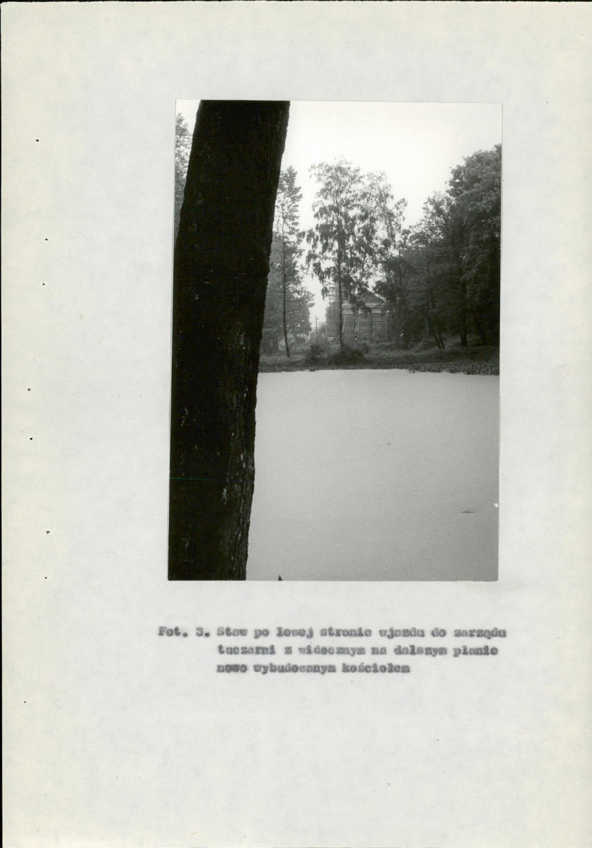 Ewidencja parkowa, skan nr 38