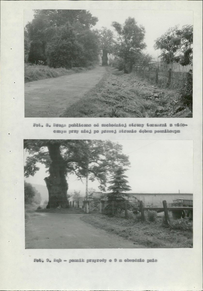 Ewidencja parkowa, skan nr 41