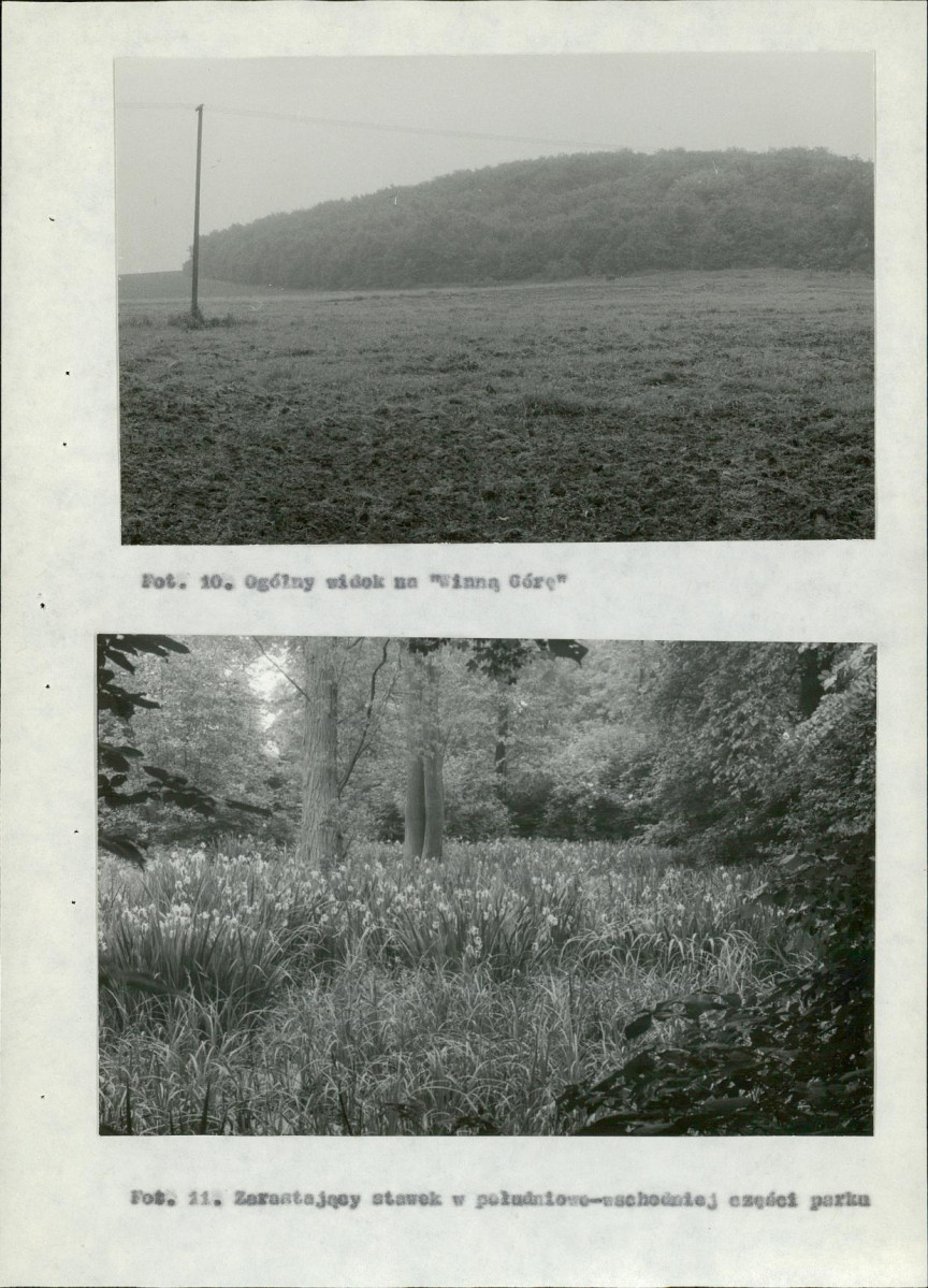 Ewidencja parkowa, skan nr 42