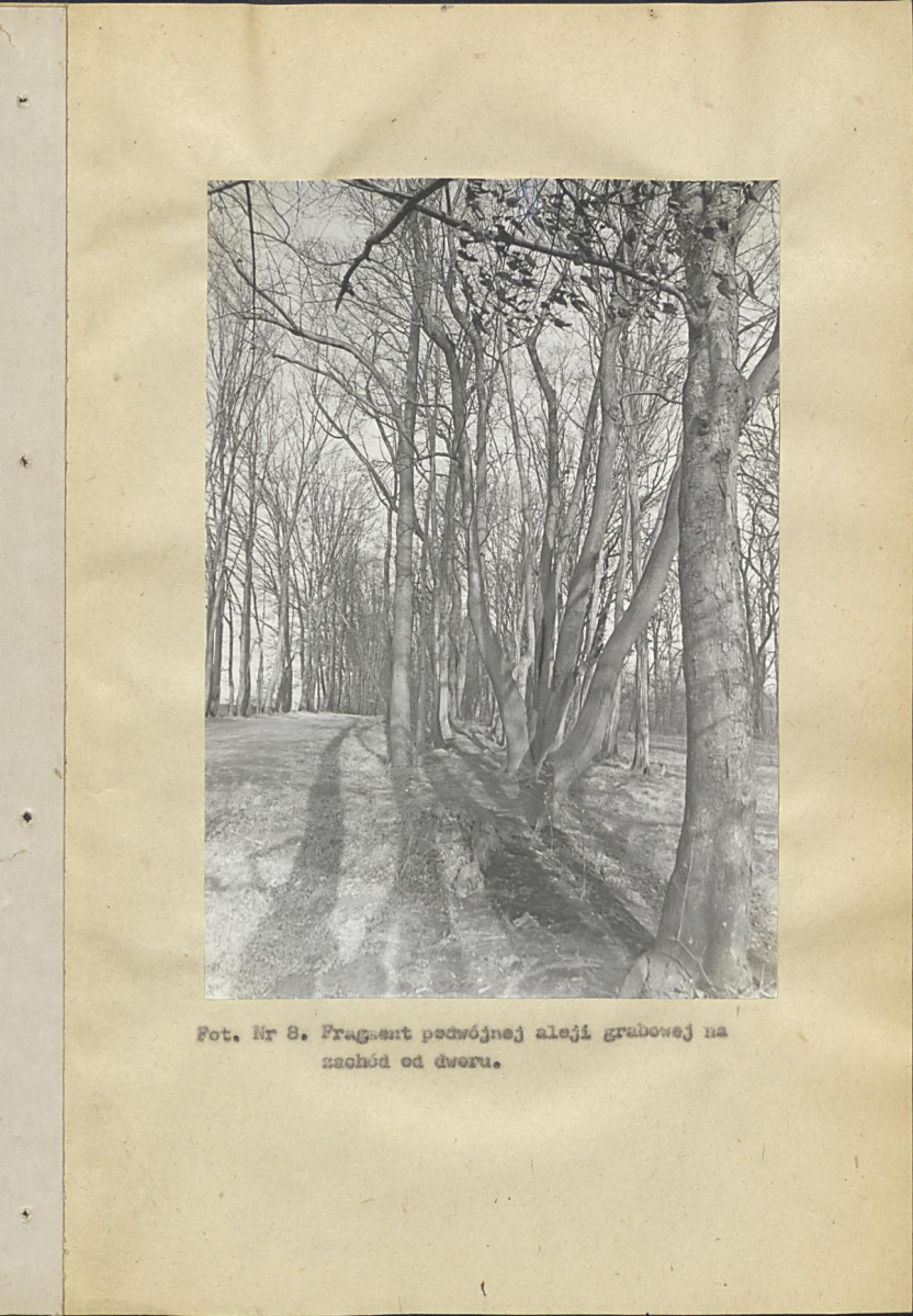 Ewidencja parkowa, skan nr 59