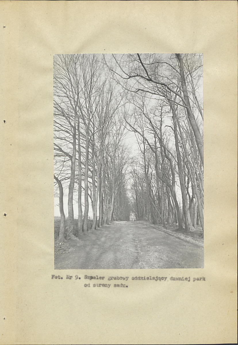 Ewidencja parkowa, skan nr 60