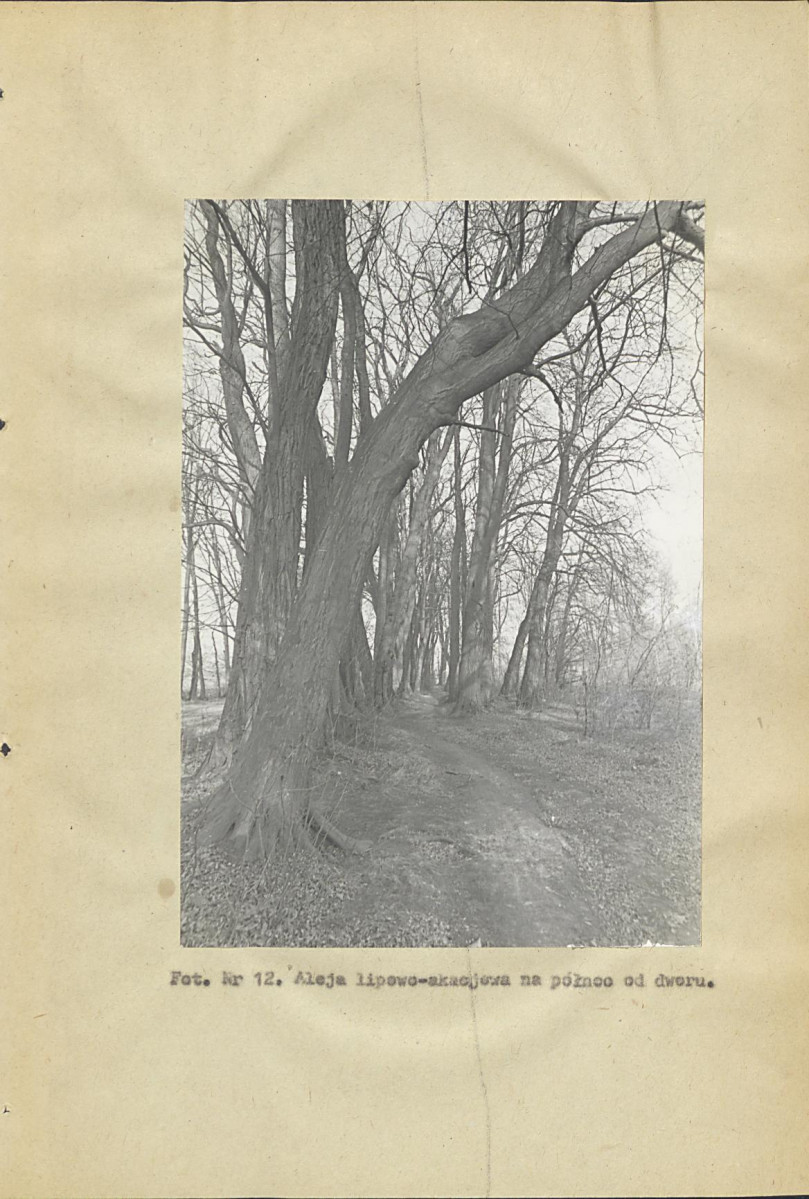 Ewidencja parkowa, skan nr 63