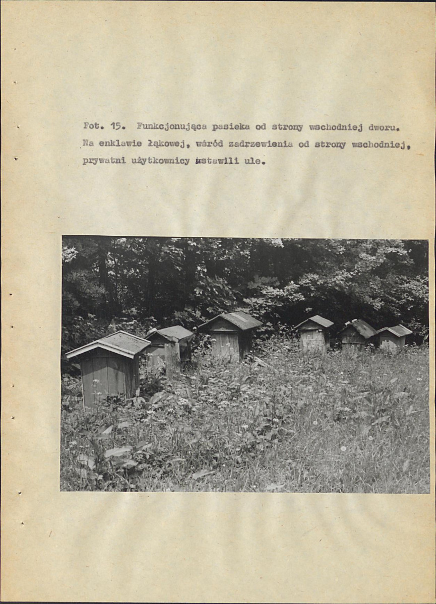 EP - Ewidencja parkowa, skan nr 63