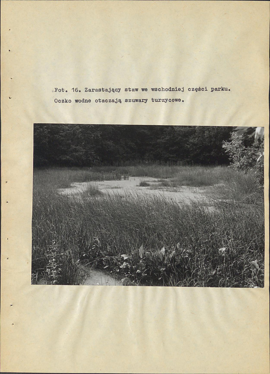 EP - Ewidencja parkowa, skan nr 64