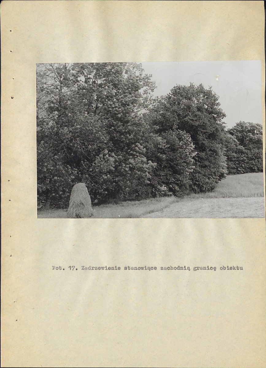 EP - Ewidencja parkowa, skan nr 65