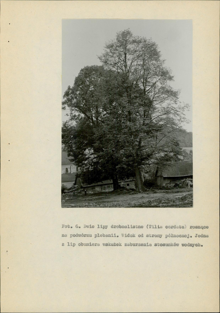EP - Ewidencja parkowa, skan nr 34