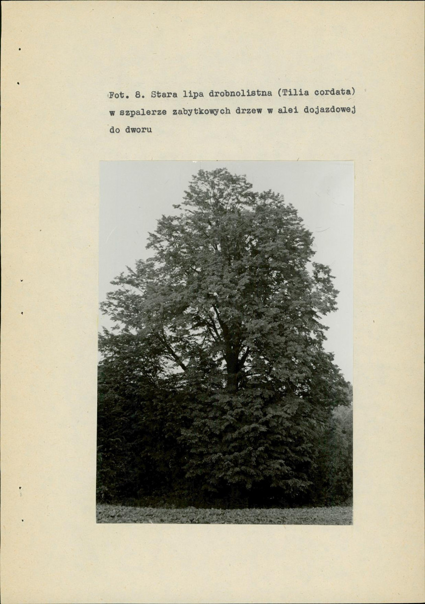 EP - Ewidencja parkowa, skan nr 36
