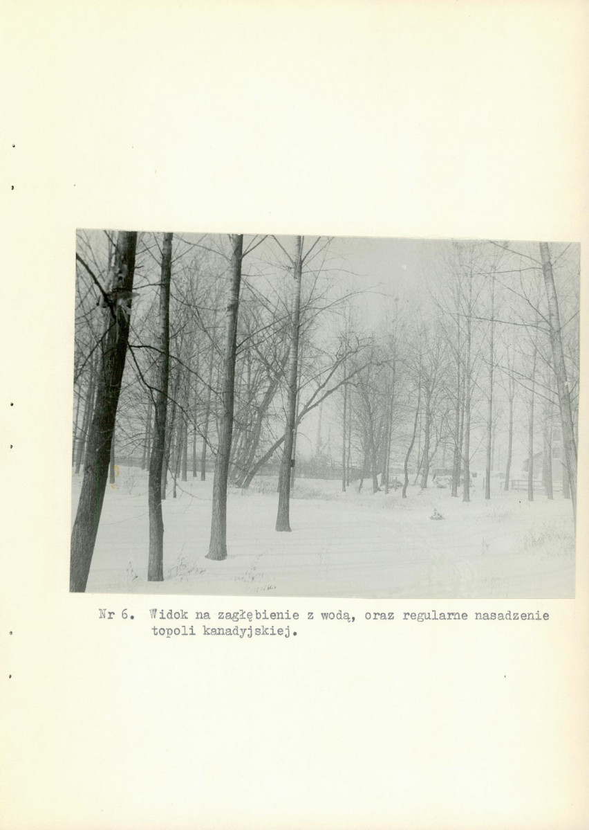 Ewidencja parkowa, skan nr 30