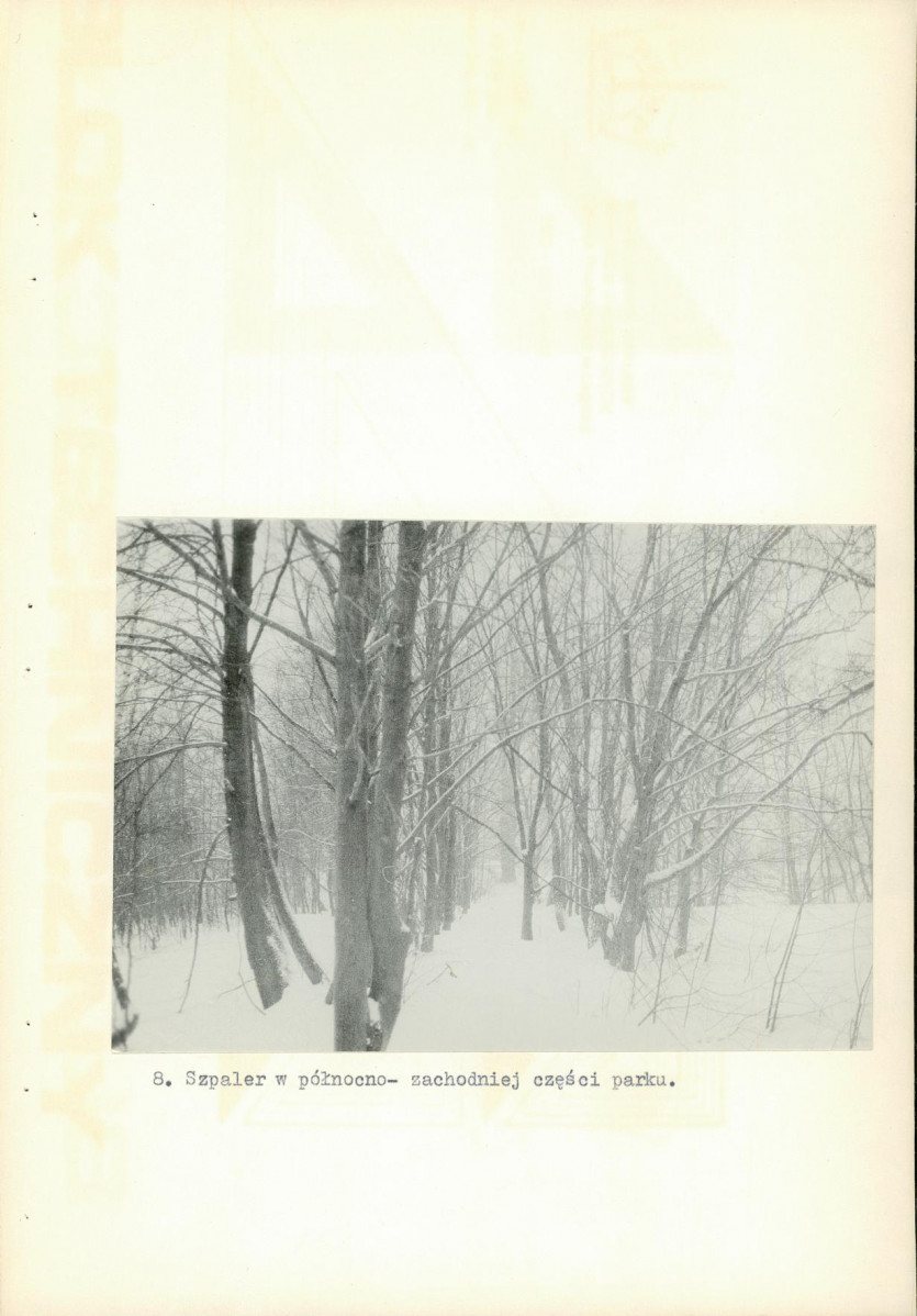 Ewidencja parkowa, skan nr 32