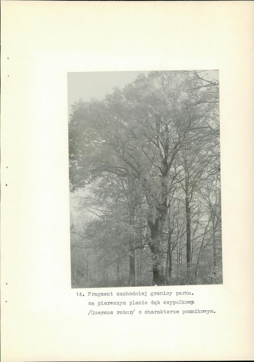 Ewidencja parkowa, skan nr 38