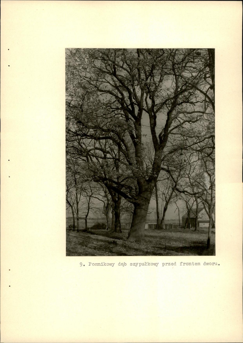Ewidencja parkowa, skan nr 34
