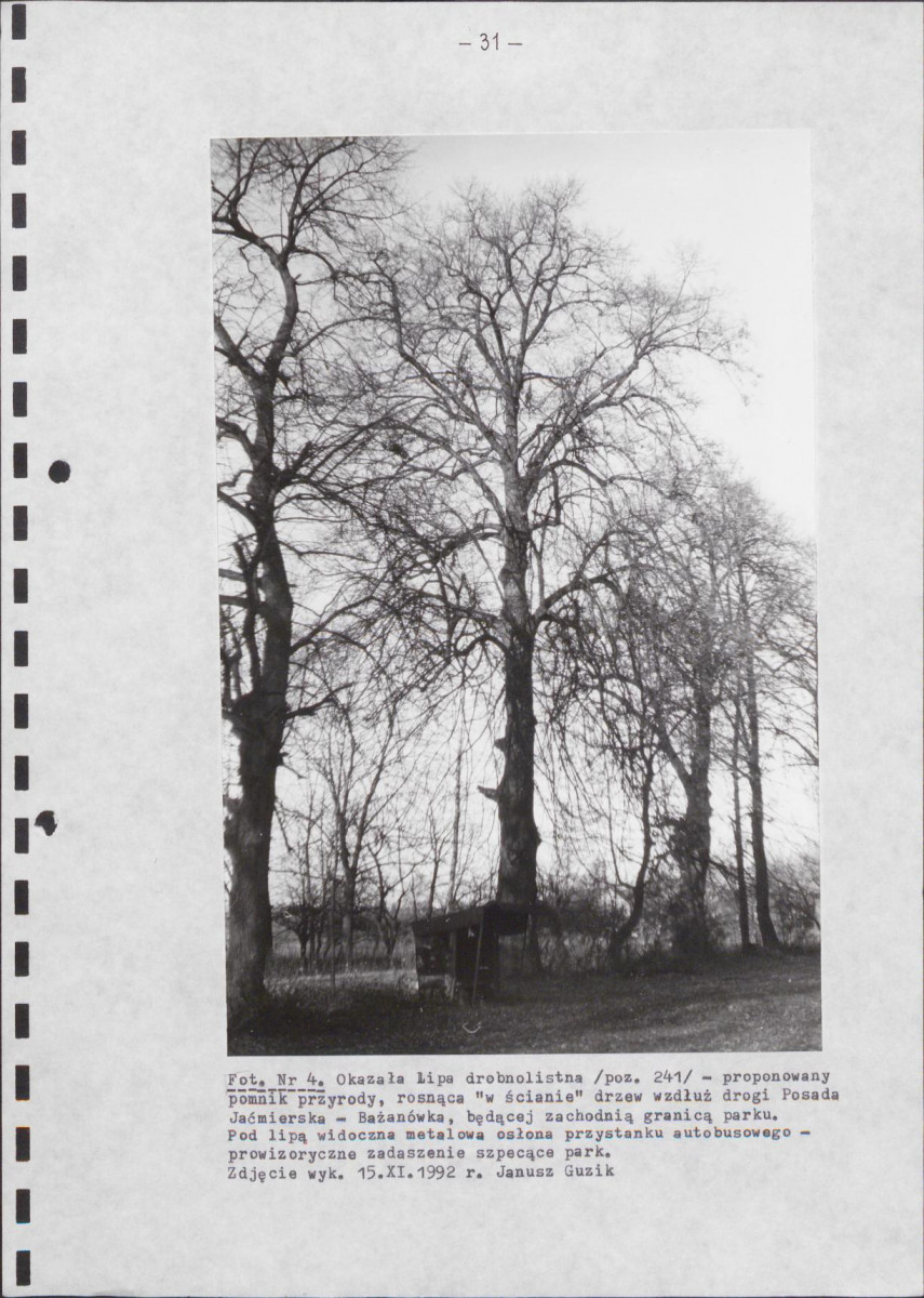 EP - Ewidencja parkowa, skan nr 40