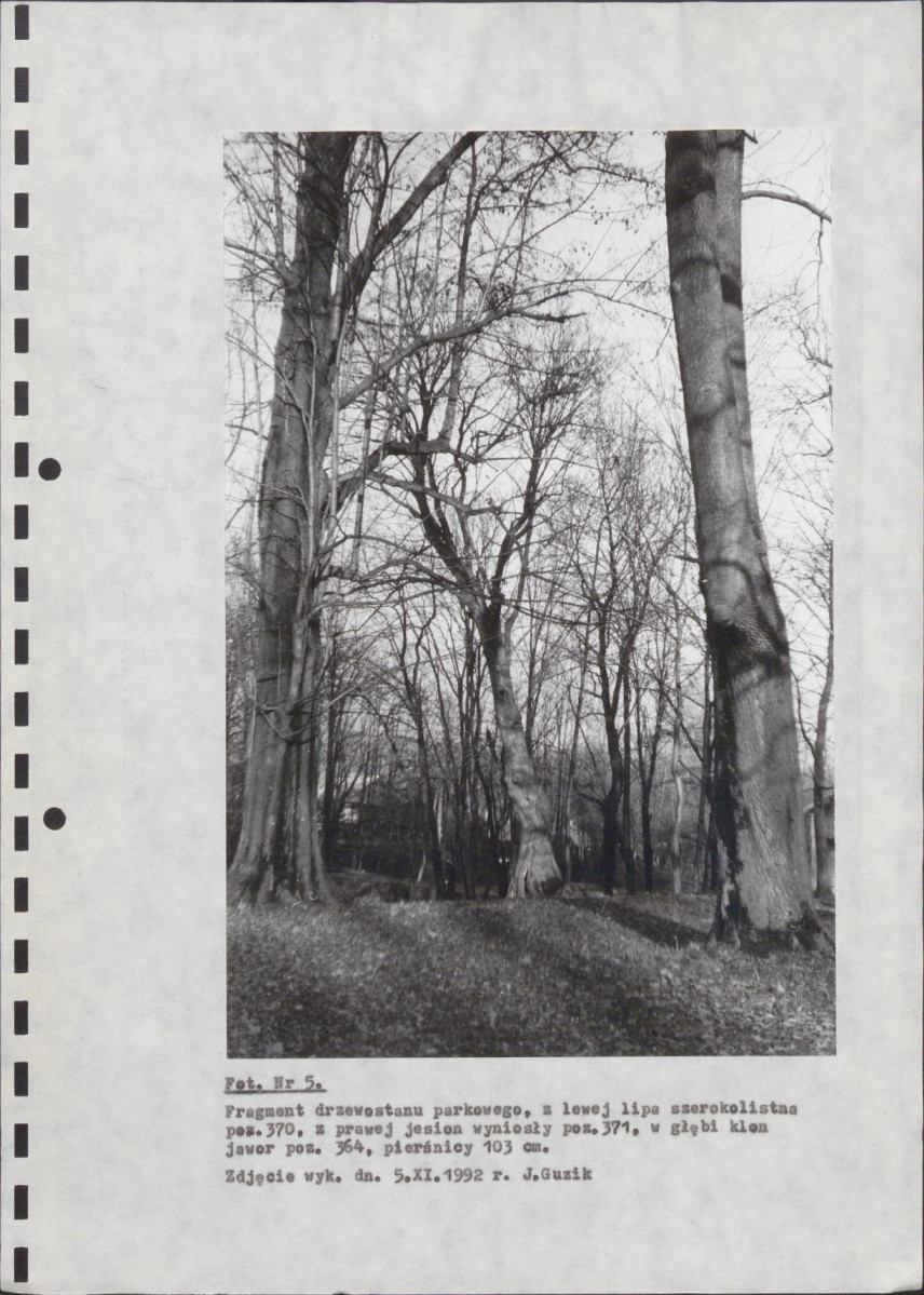EP - Ewidencja parkowa, skan nr 48
