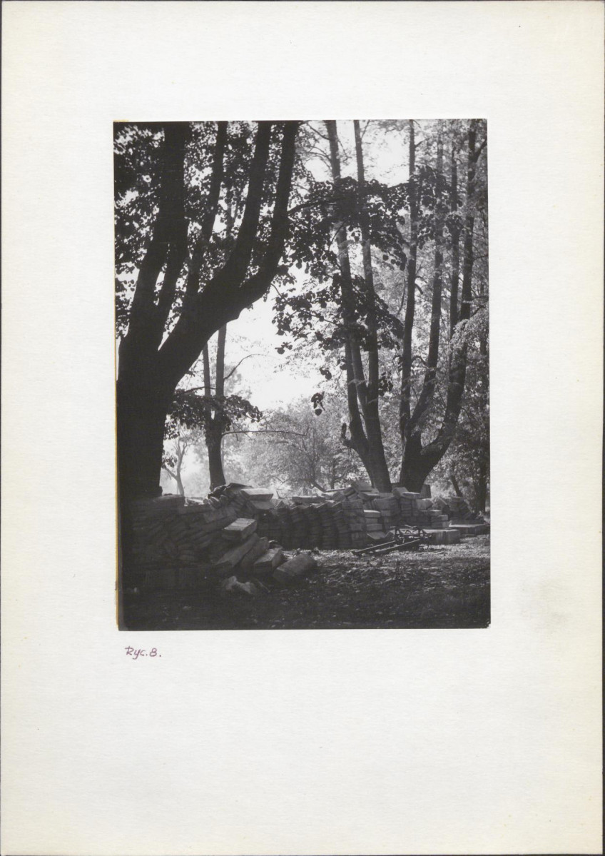 Ewidencja parkowa, skan nr 15