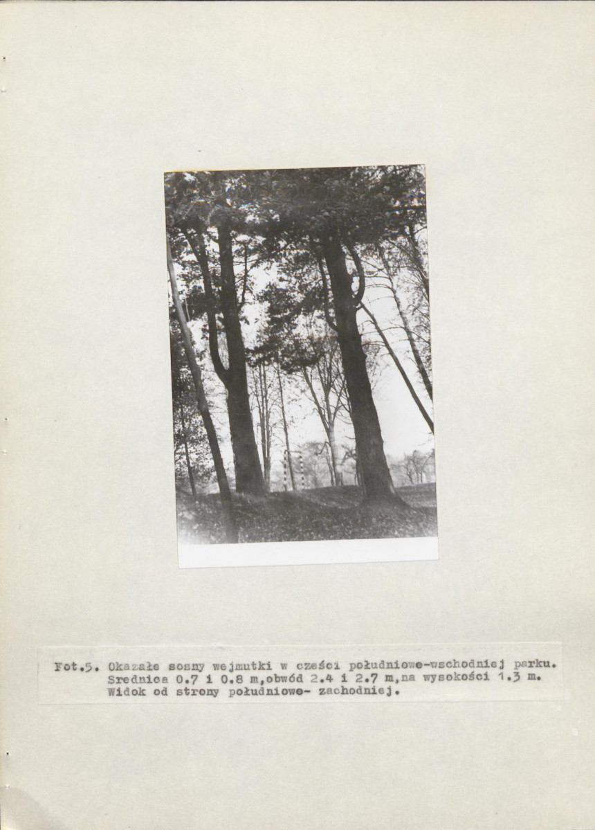 Ewidencja parkowa, skan nr 19