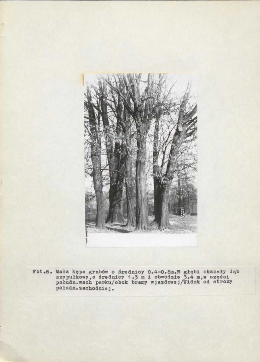 Ewidencja parkowa, skan nr 20