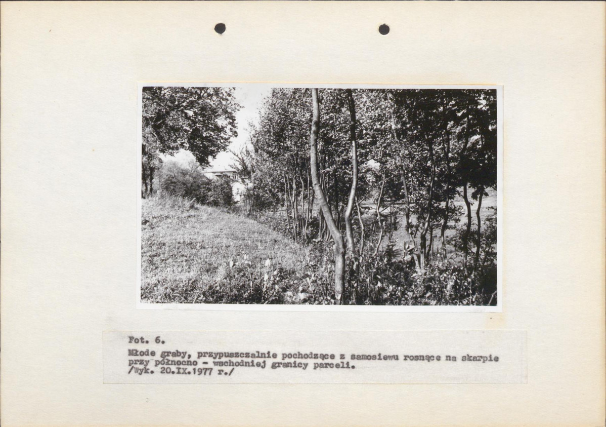 EP - Ewidencja parkowa, skan nr 20
