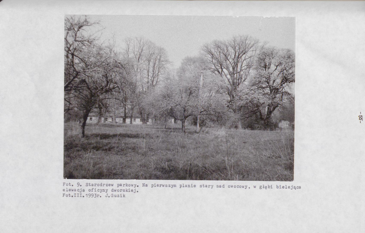 EP - Ewidencja parkowa, skan nr 62